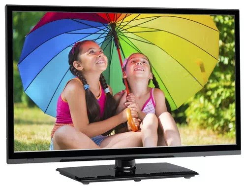 MEDION Life P12231 59,9 cm (23.6") Full HD Smart TV Noir