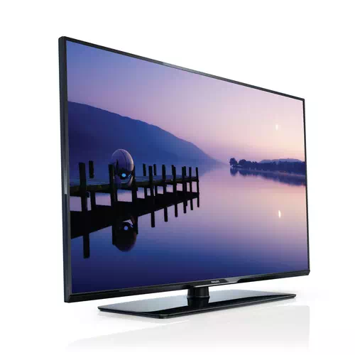 Philips 3100 series 40PFL3198T/60 TV 101,6 cm (40") Full HD Noir