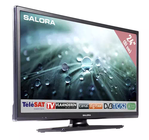 Salora 9100 series 24LED9109CTS2 TV 61 cm (24") HD Noir 1