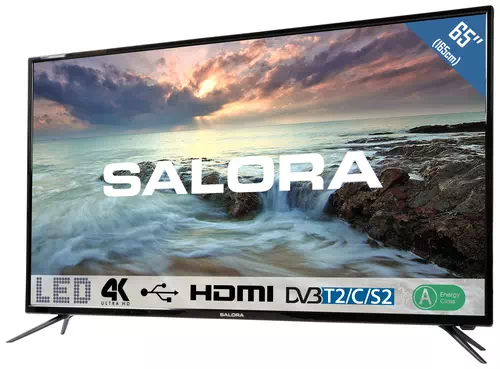Salora 2800 series 65UHL2800 TV 165,1 cm (65") 4K Ultra HD Noir 1