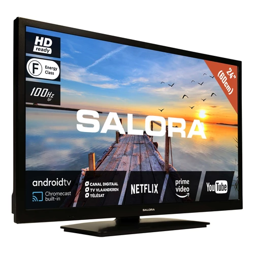Salora MOBILE24TV TV 61 cm (24") HD Smart TV Wifi Noir 1