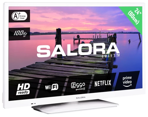 Salora 3704 series 24HSW3714 TV 61 cm (24") HD Smart TV Wifi Noir 2