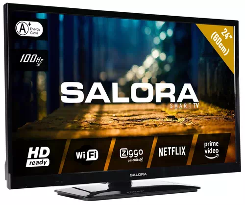 Salora 4404 series 24XHS4404 TV 61 cm (24") HD Smart TV Wifi Noir 2