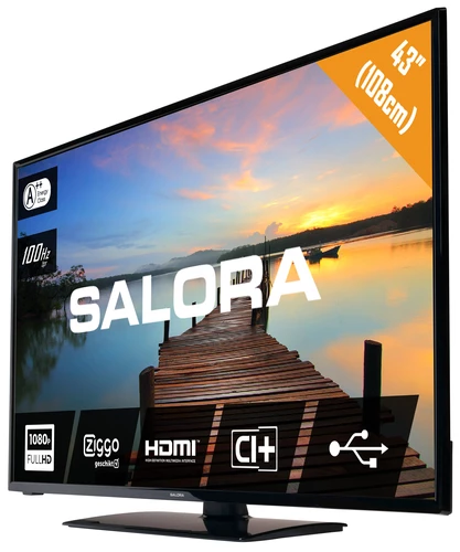 Salora 7500 series 43FL7500 Televisor 109,2 cm (43") Full HD Negro 2