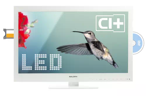 Salora 22LED6115CDW TV 55,9 cm (22") Full HD Blanc