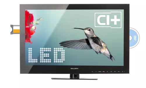 Questions and answers about the Salora 24LED6105CD
