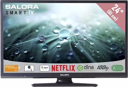 Salora 24LED9102CS TV 61 cm (24") HD Smart TV Noir