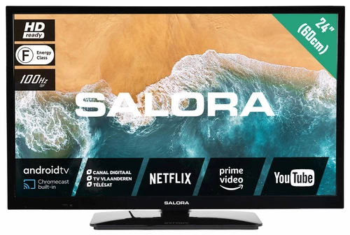 How to update Salora 24MBA300 TV software