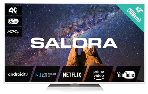 How to update Salora 43 Milkyway TV software