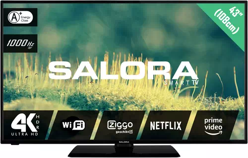 Salora 2204 series 43EUS2204 TV 109.2 cm (43") 4K Ultra HD Smart TV Wi-Fi Black