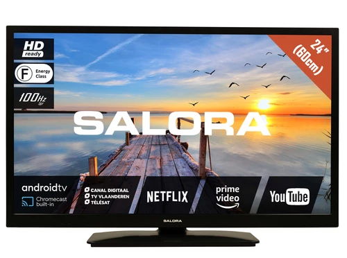 How to update Salora MOBILE24TV TV software