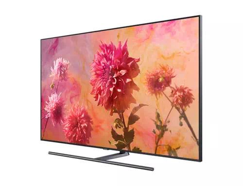 Samsung Q9F GQ65Q9FNGTXZG TV 165,1 cm (65") 4K Ultra HD Smart TV Wifi Noir, Argent 2