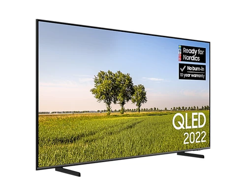Samsung Series 6 QE55Q68BAUXXC TV 139.7 cm (55") 4K Ultra HD Smart TV Wi-Fi Black 2