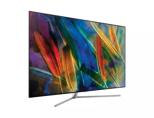 Samsung Q7F QE65Q7FAMTXTK TV 165.1 cm (65") 4K Ultra HD Smart TV Wi-Fi Silver 2