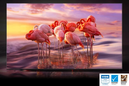 Samsung QN65Q60BAF 165,1 cm (65") 4K Ultra HD Smart TV Wifi Negro 6