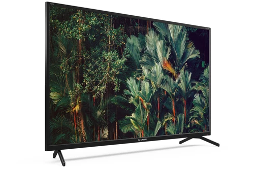 Sharp Aquos 40BN2EA 101,6 cm (40") 4K Ultra HD Smart TV Wifi Negro 1