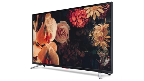 Sharp Aquos 42CG5E 106,7 cm (42") Full HD Smart TV Wifi Negro 1