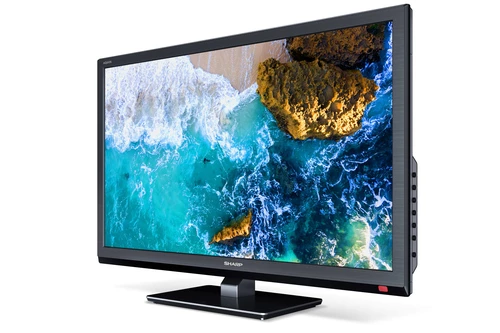 Sharp 24EA4E TV 61 cm (24") HD Black 2