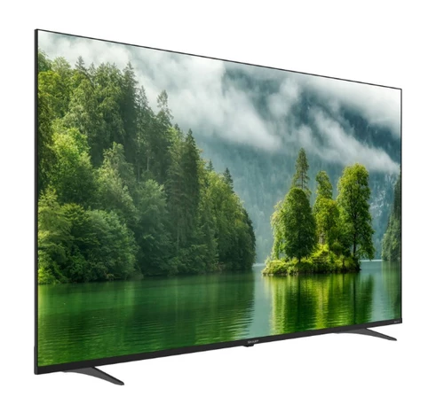 Sharp 4TC65EL8UR TV 165,1 cm (65") 4K Ultra HD Smart TV Noir 2