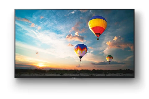 Sony KD49XE8088 123,2 cm (48.5") 4K Ultra HD Smart TV Wifi Negro 1