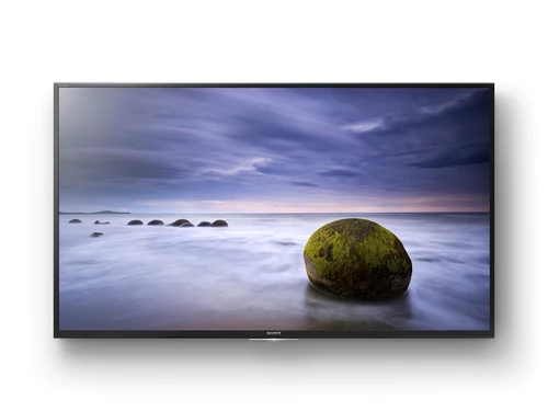 Sony XBR49X700D Televisor 124,5 cm (49") 4K Ultra HD Smart TV Wifi Negro 3