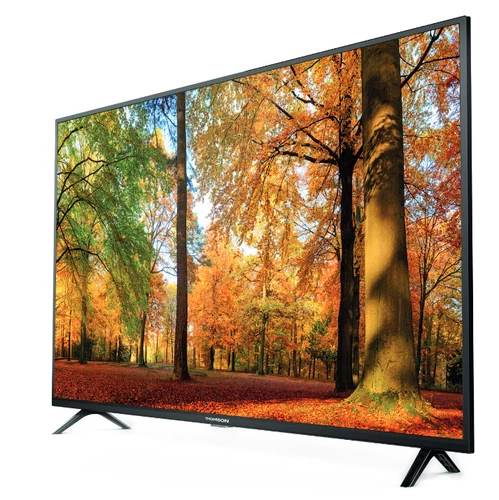 Thomson 40FD3346 TV 101,6 cm (40") Full HD Noir 0