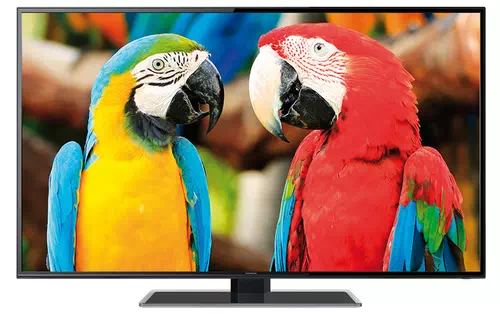 Thomson 55FZ4633 139,7 cm (55") Full HD Smart TV Wifi Negro